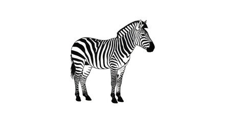 Fototapeta premium Striking Monochrome Zebra Silhouette Gleaming with Light Effects Against a Black Background