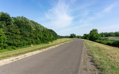 Bicycle road in the summertime