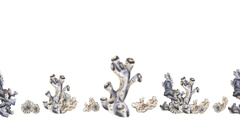 Seamless monochrome coral border in hand painted watercolor style