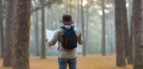 Naturalist looking at the map for direction while exploring wildlife in the pine forest for surveying and discovering the rare biological diversity and ecologist on the field study