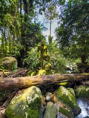 A low-angle, wide-shot captures an ancient, moss-covered stone statue of a male figure standing on...