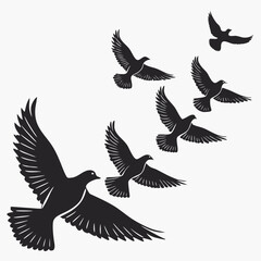 Obraz premium Flock Of Pigeons In Mid Flight Peaceful Silhouet