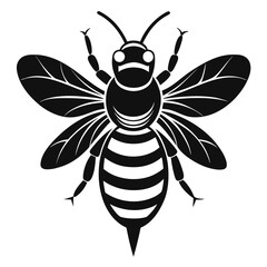 Honey Bee vector clean black silhouette design white background