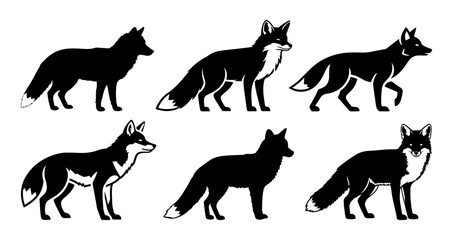 Fototapeta premium Collection of six black silhouette illustrations of foxes in various poses on a white background