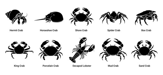 Collection of silhouettes of various crustaceans and marine life on a white background