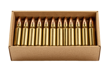 Cartridge box filled with ammunition