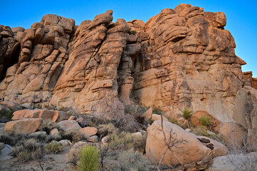 Fototapeta premium Desert road winding through the landscape of Joshua Tree at sunset. 