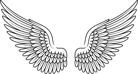 Obraz premium Pair of spread angel wings in black and white feather