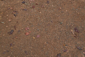Dry Soil with Pebbles and Scattered Leaves