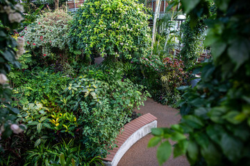 Qingdao Tropical Botanical Garden, Miyazaki Prefecture, Japan