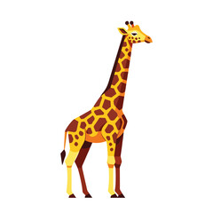 Naklejka premium Giraffa camelopardalis, giraffe illustration. Tall giraffe with long neck and spotted coat standing majestically. This giraffe illustration is perfect for children's books, educational posters,