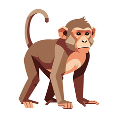 Obraz premium Cute monkey presents adorable primate in a playful pose isolated on white. Monkey, a charming animal, highlights its gentle expression and soft fur, capturing viewers' hearts.