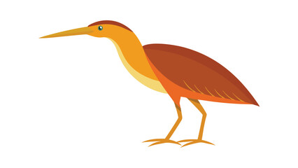 Bittern bird in natural stance with stylized plumage great for wetland wildlife projects Vector illustration.