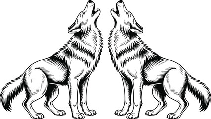 Two Wolves Howling in Harmony on White Background animals
