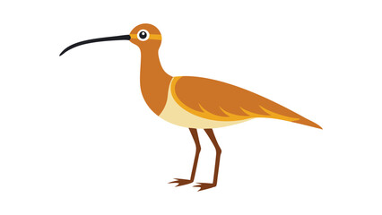 Curlew bird with long beak and delicate stance ideal for marshland and birdwatching visuals Vector illustration.