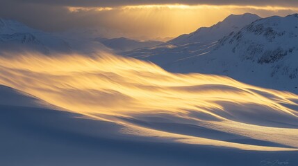 Snowy Landscape with Soft Golden Light and Windy Patterns in Sky