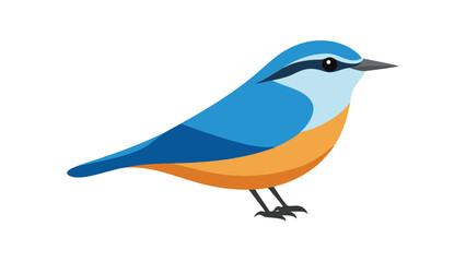 Nuthatch bird clinging to tree bark ideal for woodland creatures and vertical climbing bird art Vector illustration.