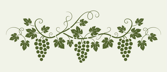 Black silhouette of grapevines with birds grapes leaves