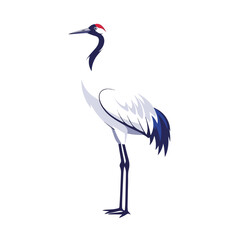 Obraz premium Elegant japanese red-crowned crane, grus japonensis, isolated on white background, showing its graceful standing pose. Japanese red-crowned crane image is a symbol of longevity, good fortune,