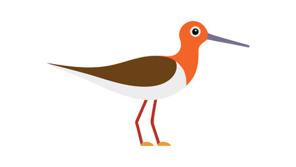 Sandpiper bird in wading pose along shoreline ideal for beach birds and tidal zone art Vector illustration.