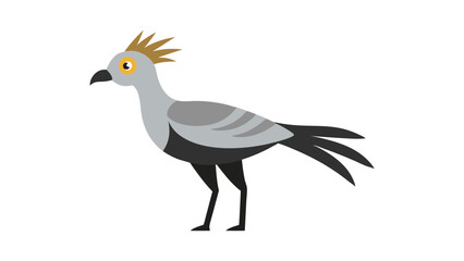 Secretary bird standing tall with crest feathers ideal for unique raptor and grassland bird visuals Vector illustration.