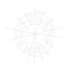 Fototapeta premium Spiderweb against white background is intricately woven, its delicate threads creating unique pattern. Spiderweb design showcases radial symmetry and connecting lines.