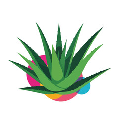 Fototapeta premium Fresh aloe vera illustration with green leaves and colorful circles against white backdrop. Aloe vera shows natural beauty and healing benefits, ideal for skincare and cosmetics.