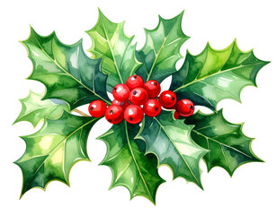   Watercolor Holly Leaves PNG