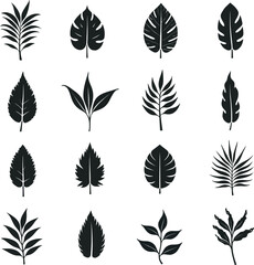 Fototapeta premium Web, showcasing various leaf shapes including monstera, fern, banana leaf, and stylized florals