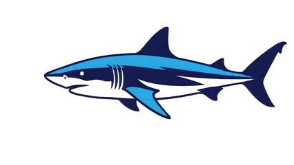Fototapeta premium shark vector illustration