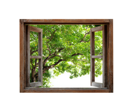 Natural light filtering through an open window with lush greenery