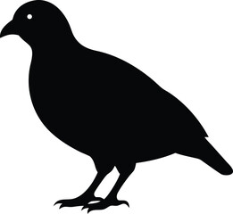 bird of quail silhouette 
