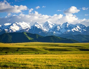 Serene mountain vista of snow capped peaks amidst idyllic grassland meadows