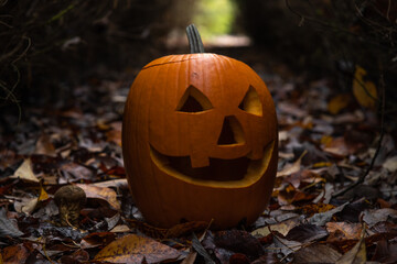Close-up view of orange Halloween pumpkin with carved face lying on brown fallen leaves in dark...