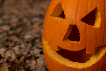 Close-up view of orange Halloween pumpkin with carved face lying on brown fallen leaves in dark...