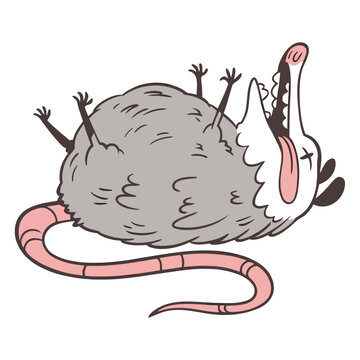 cartoon illustration of an opossum playing dead