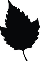 hazel leaf silhouette