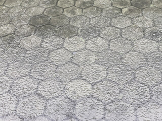 Wet Hexagonal Pavement Texture After Rain