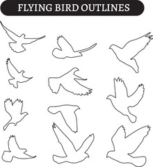 Fototapeta premium Flying Bird Outlines
