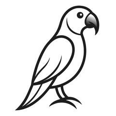 vector illustration of a bird