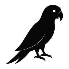 Fototapeta premium vector illustration of a bird