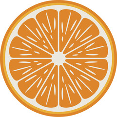 fresh orange slice vector with vibrant segments and juicy texture for citrus branding, food design, and healthy lifestyle visuals