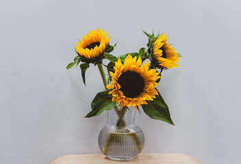 bouquet of sunflowers in a vase