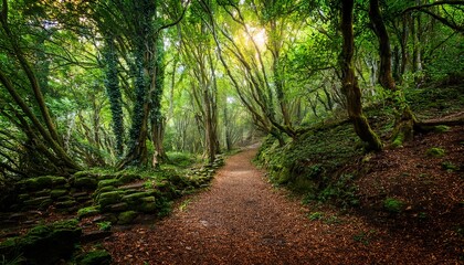 enchanted forest path a mystical journey through dense green woods