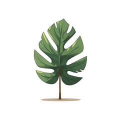 green tree isolated on white background