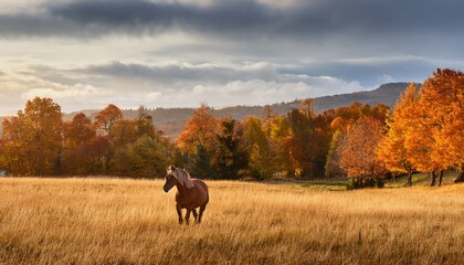 a wide autumn scene of grassland and trees in the background with a lone horse in the scene to the left