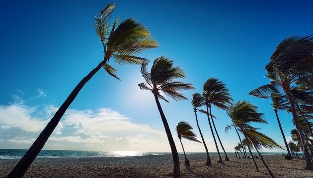 stunningly beautiful palm trees silhouetted against a bright and vibrant blue sky it is windy weather - Powered by Adobe