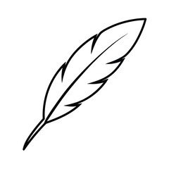 feather clipart line art