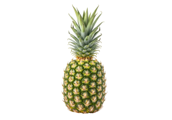A single pineapple against a black background.
