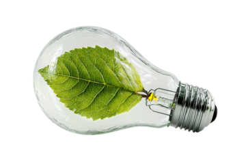 Green leaf inside a light bulb. Eco friendly energy concept.